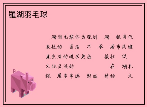 羅湖羽毛球