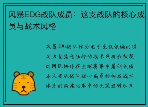 风暴EDG战队成员：这支战队的核心成员与战术风格